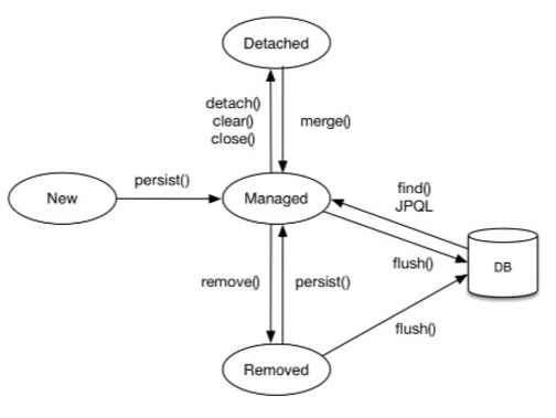 lifeCycle